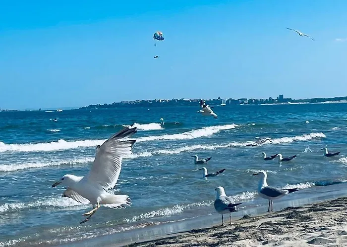 Appartamento Mint Casa Rossa Sunny Beach