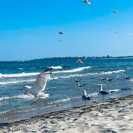 דירה Mint Casa Rossa סאני ביץ'