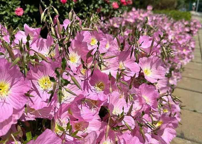 Mint Casa Rossa דירה סאני ביץ'